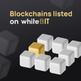 What blockchains can be found on WhiteBIT?