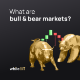 What are bull and bear markets?