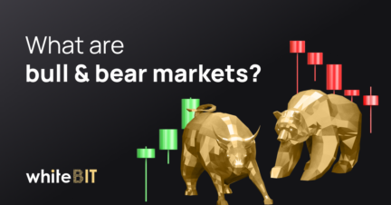 What are bull and bear markets?