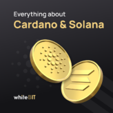 Discover Cardano & Solana