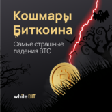 Страшный сон Bitcoin: история обвалов цифрового золота