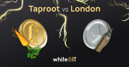 Taproot и London: сравнение обновлений лидирующих блокчейнов