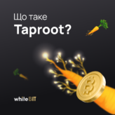 Taproot: розбір довгоочікуваного оновлення у мережі Bitcoin