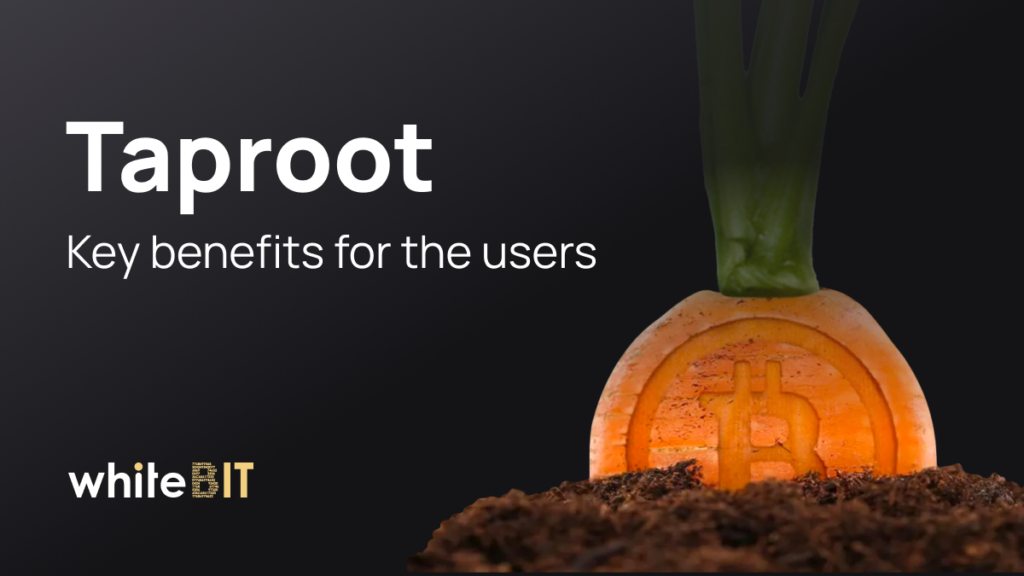 Taproot: What to expect?