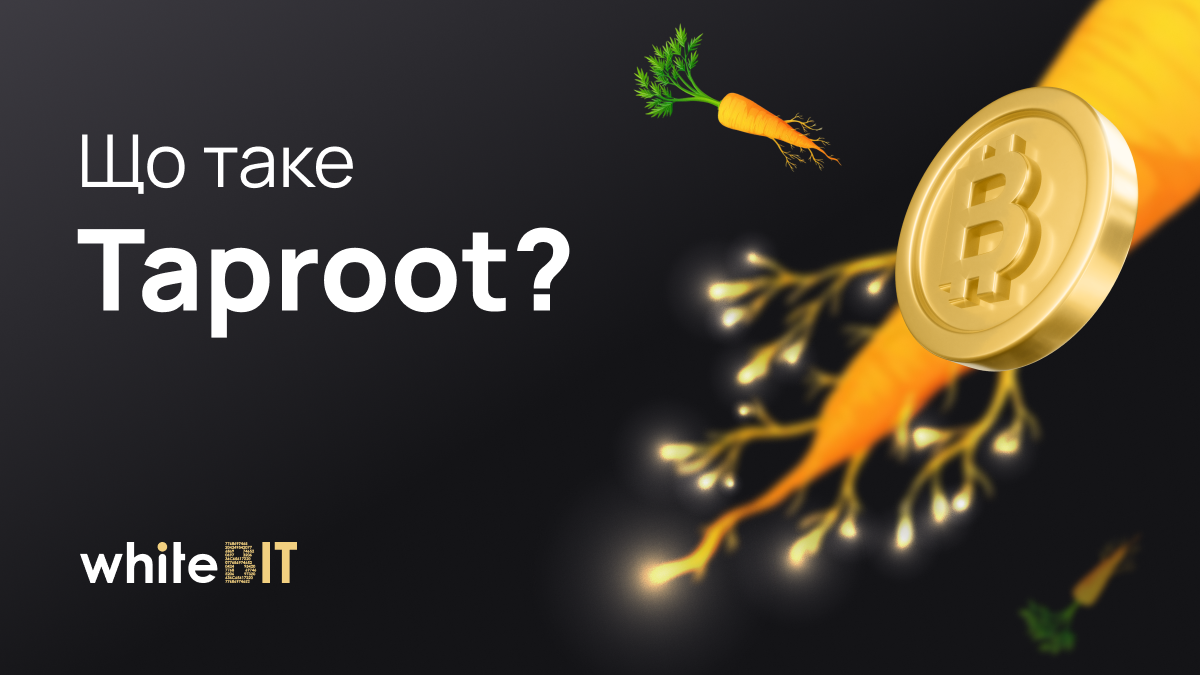 Taproot: розбір довгоочікуваного оновлення у мережі Bitcoin