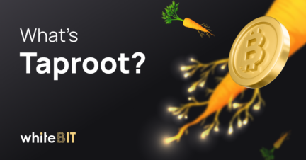 Taproot: a review of a long-awaited update to the Bitcoin network