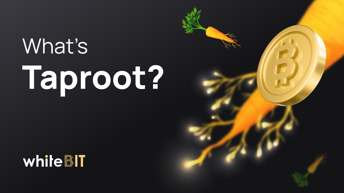 Taproot: a review of a long-awaited update to the Bitcoin network
