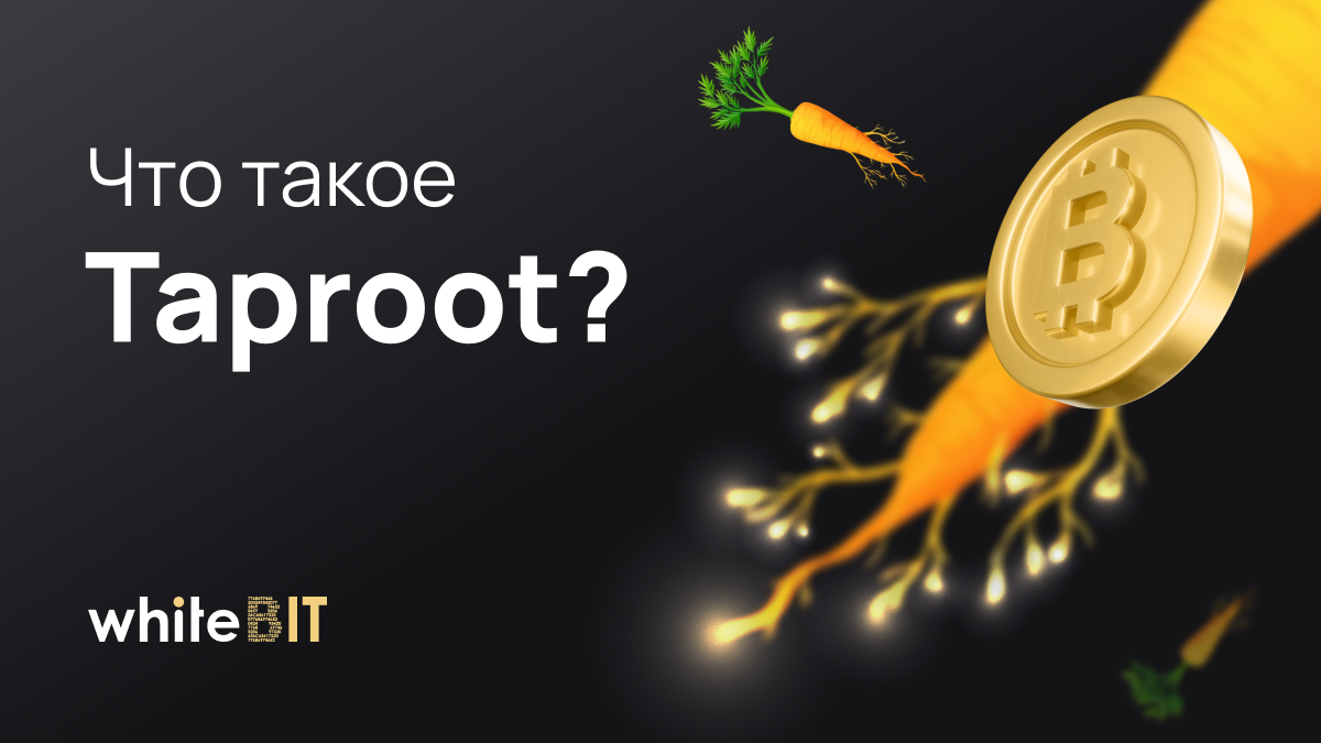 Taproot: разбор долгожданного обновления в сети Bitcoin