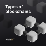 How to differentiate kinds of blockchains