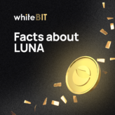 facts about LUNA