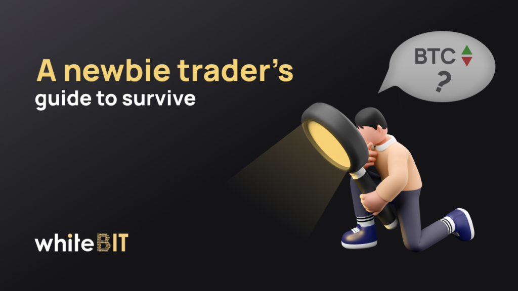 Technical analysis: a newbie trader’s guide to survive