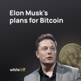 elon musk's plans for bitcoin