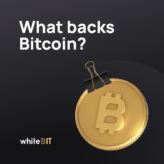 What backs Bitcoin?