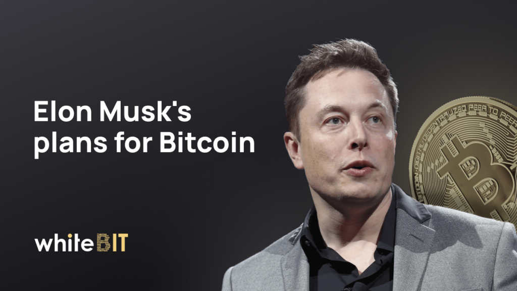 Why Does Elon Musk Need Bitcoin?