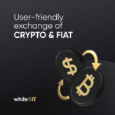 User-friendly exchange of crypto & state currency