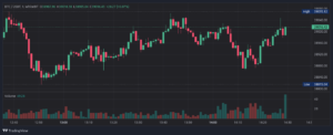 Learn How to Read Crypto Price Charts