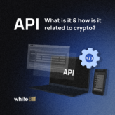 API: A Complex but Important Tool in Simple Words