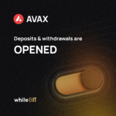⚡️ Встречайте новую сеть для AVAX ⚡️