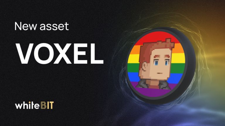 ❇️ Give it up for VOXEL ❇️