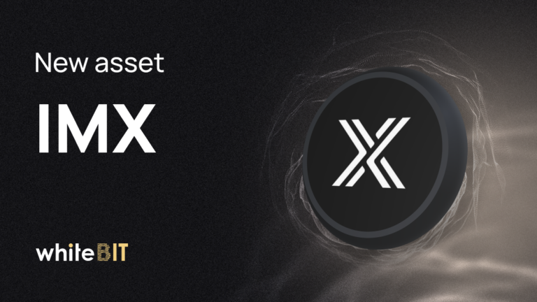 Let us introduce IMX