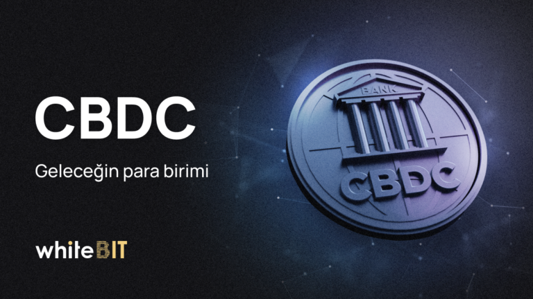 CBDC: Ulusal Para Birimine Bağlı Dijital Para Birimi