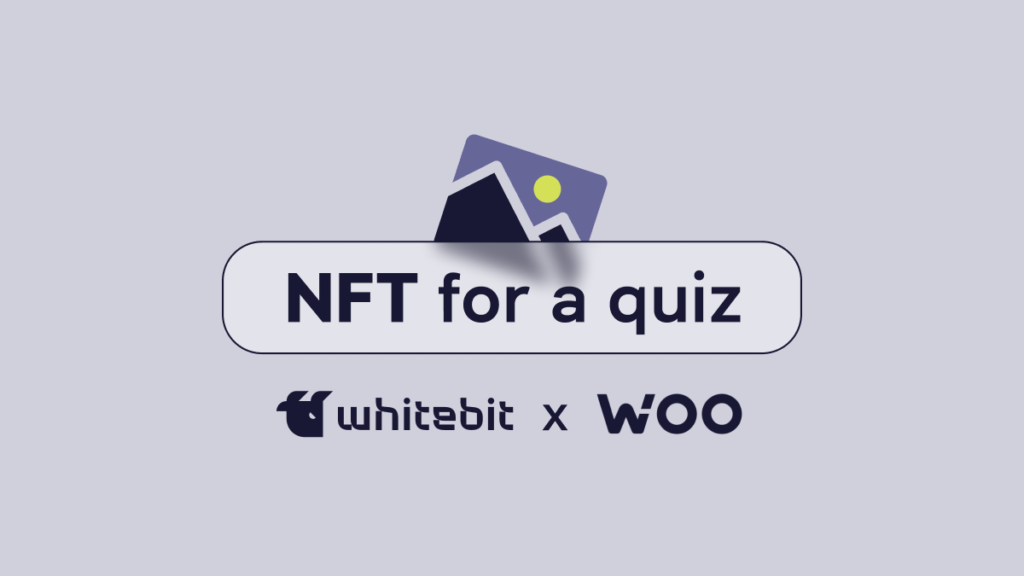 The answer is NFT 👾