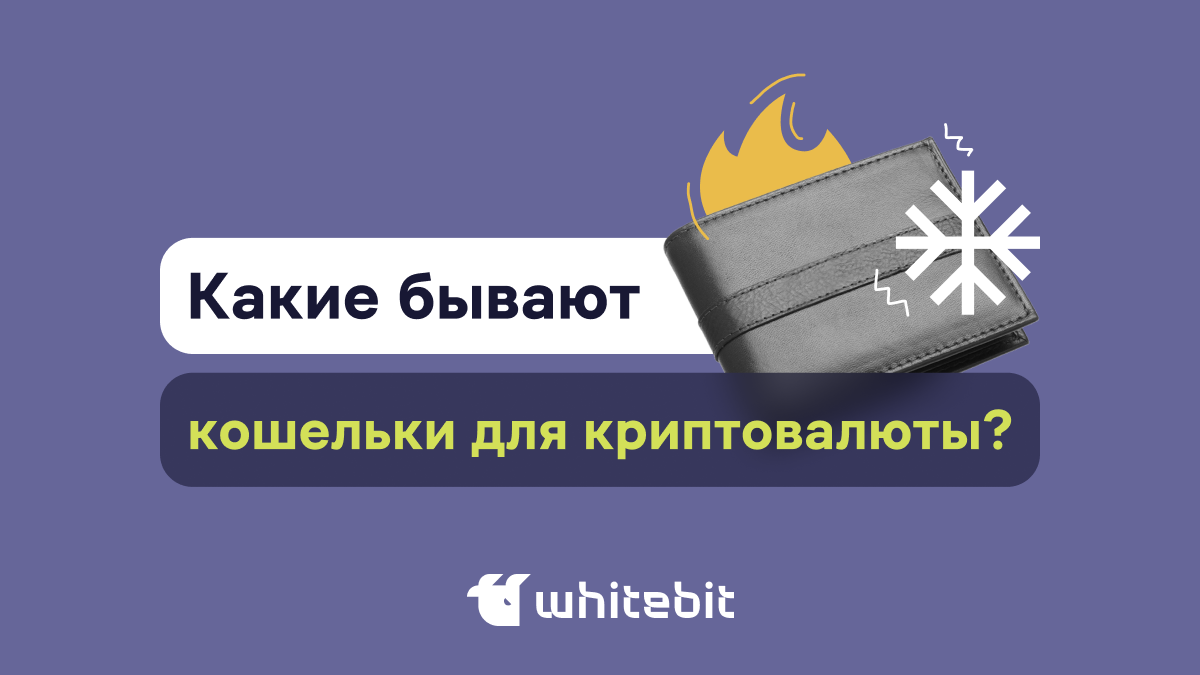 Что такое крипто кошелек? Кастодиальные и некастодиальные кошельки |  WhiteBIT Blog