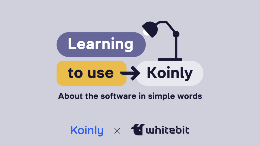 How to Use Koinly?