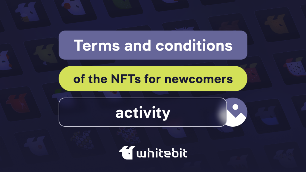 Terms and Conditions of the NFTs for newcomers Activity
