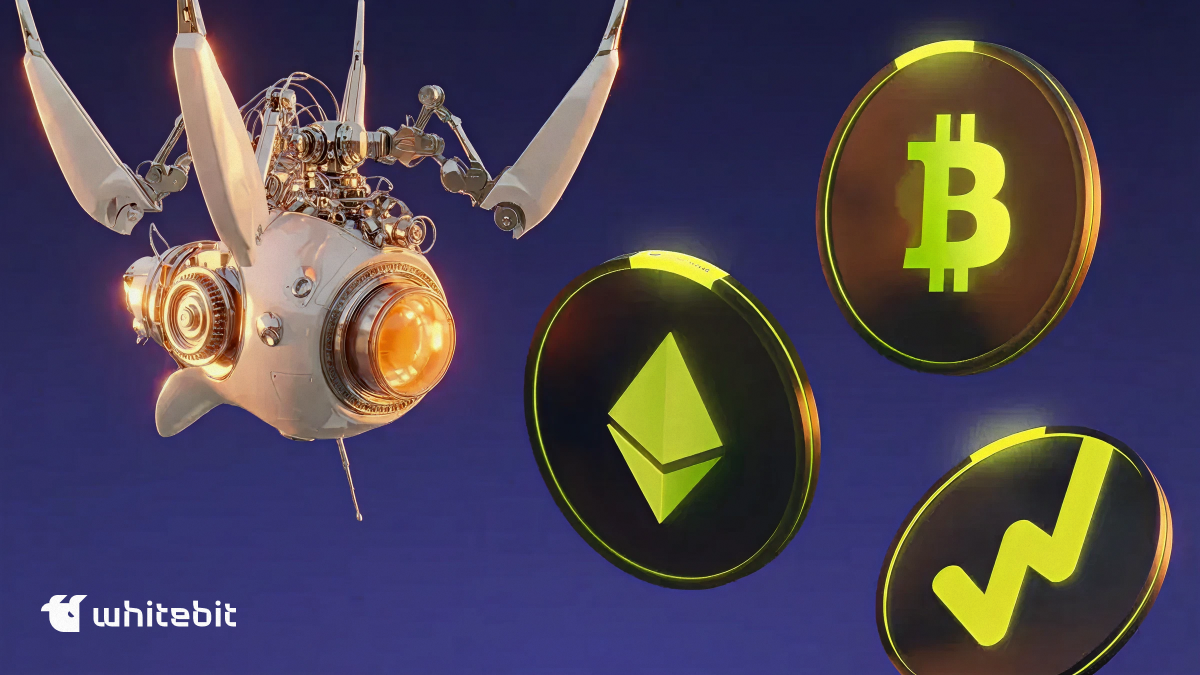 Testnet Bug Bounty WB Network program has started: participate and get ...