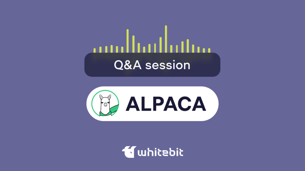 The Terms and Conditions of the “Alpaca Finance Q&A” Promotion