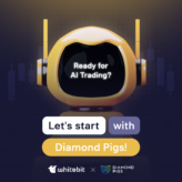 Optimize Your Investments with Diamond Pigs