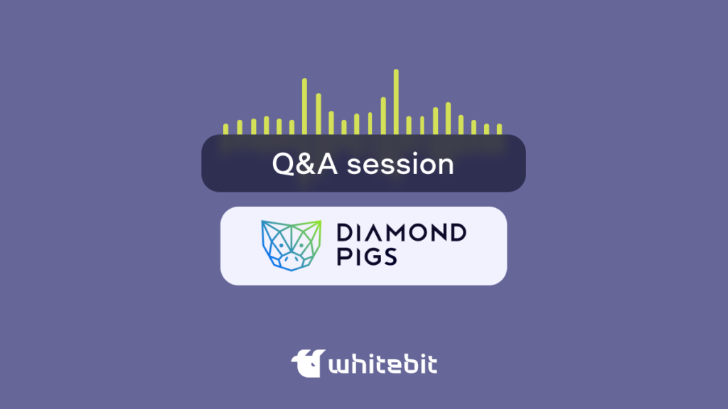 Ask Diamond Pigs a Question 🐷