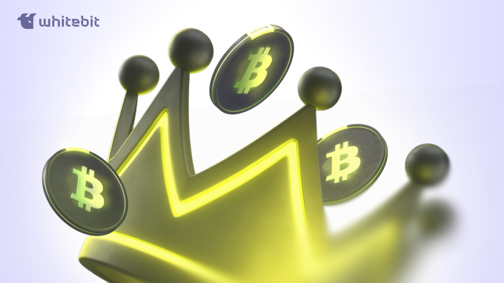 Наступний рівень ваших можливостей — програма VIP на WhiteBIT