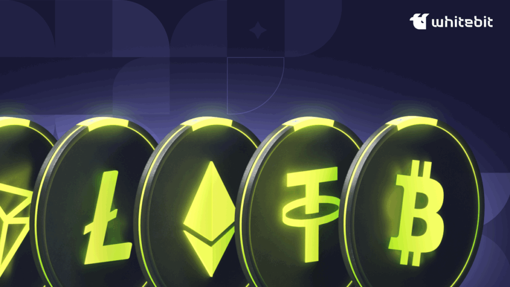 How to Create a Well-Balanced Cryptocurrency Portfolio?