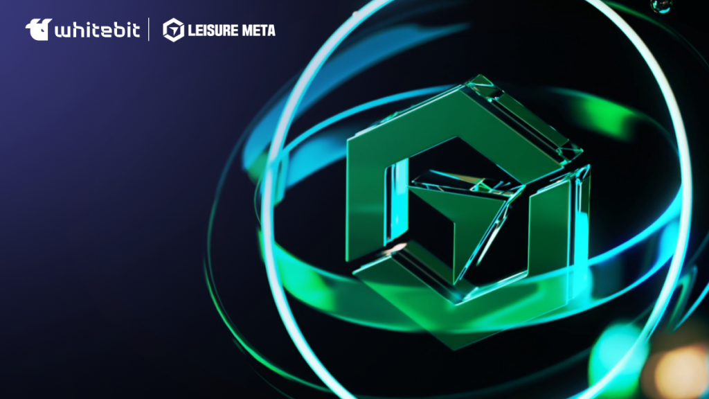 Exploring the LeisureMeta (LM) Project