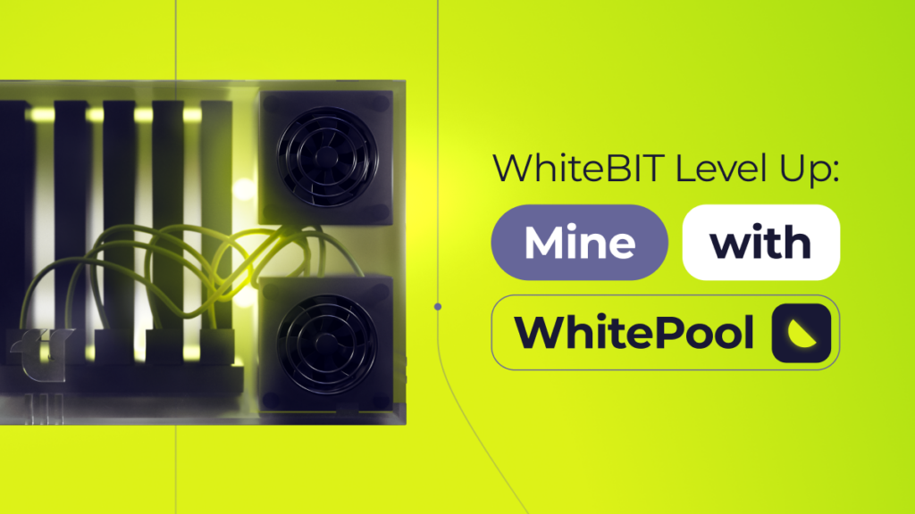 Join Forces with WhitePool! Launch Your Own Mining Pool on WhiteBIT!