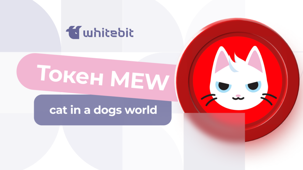 Огляд cat in a dogs world MEW: мем-коїн на Solana