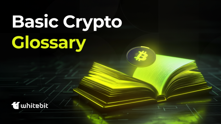 All Crypto Terms for Beginners: Basic Crypto Glossary