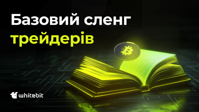 Терміни в криптовалюті для початківців: базовий сленг трейдерів