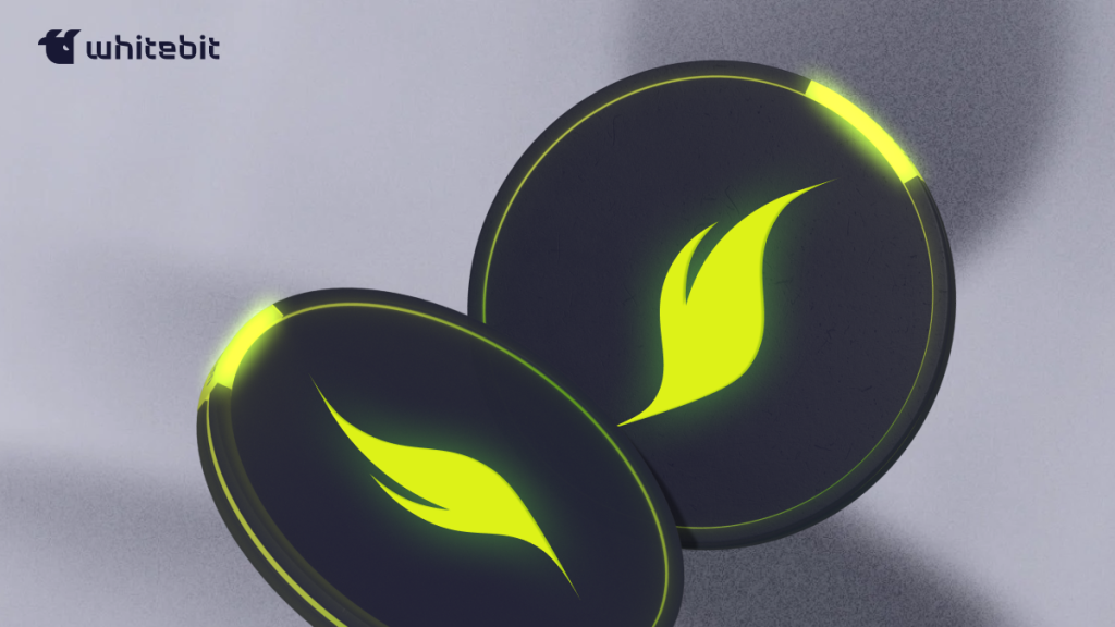 Join the XION Challenge