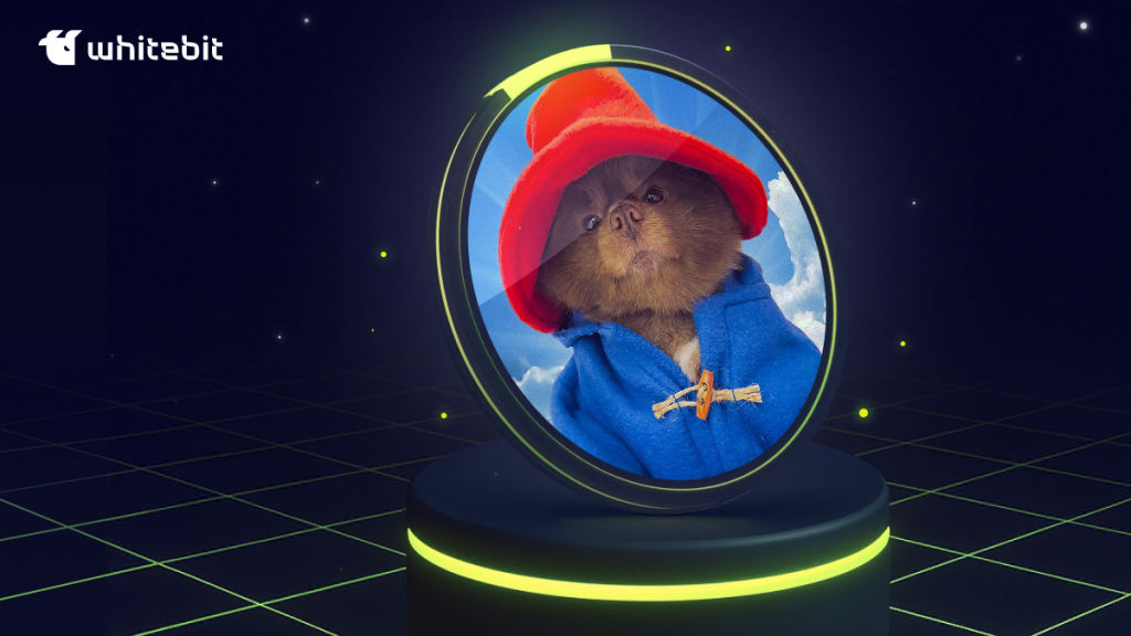 BERT: Where Memes Meet Real Utility in Web3